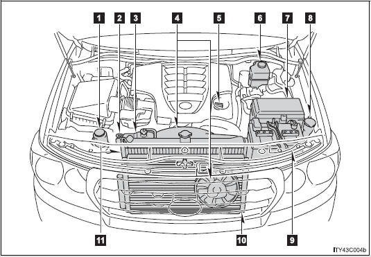 Engine compartment