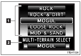 Statement on the multi-information display