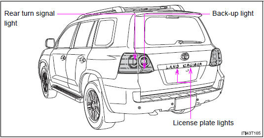 Rear bulb locations