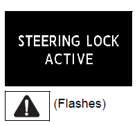 The steering lock